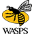 London Wasps