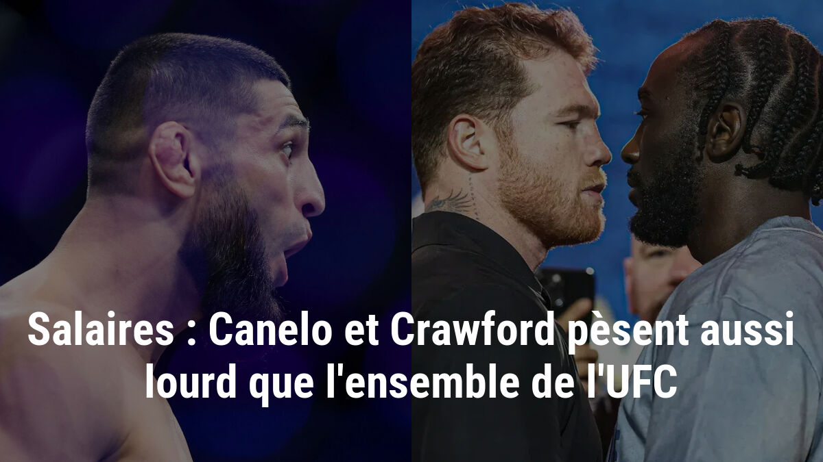 https://cdn.mashup-web.com/img/news/19-09-2025/68cc9d8092b7b.jpeg