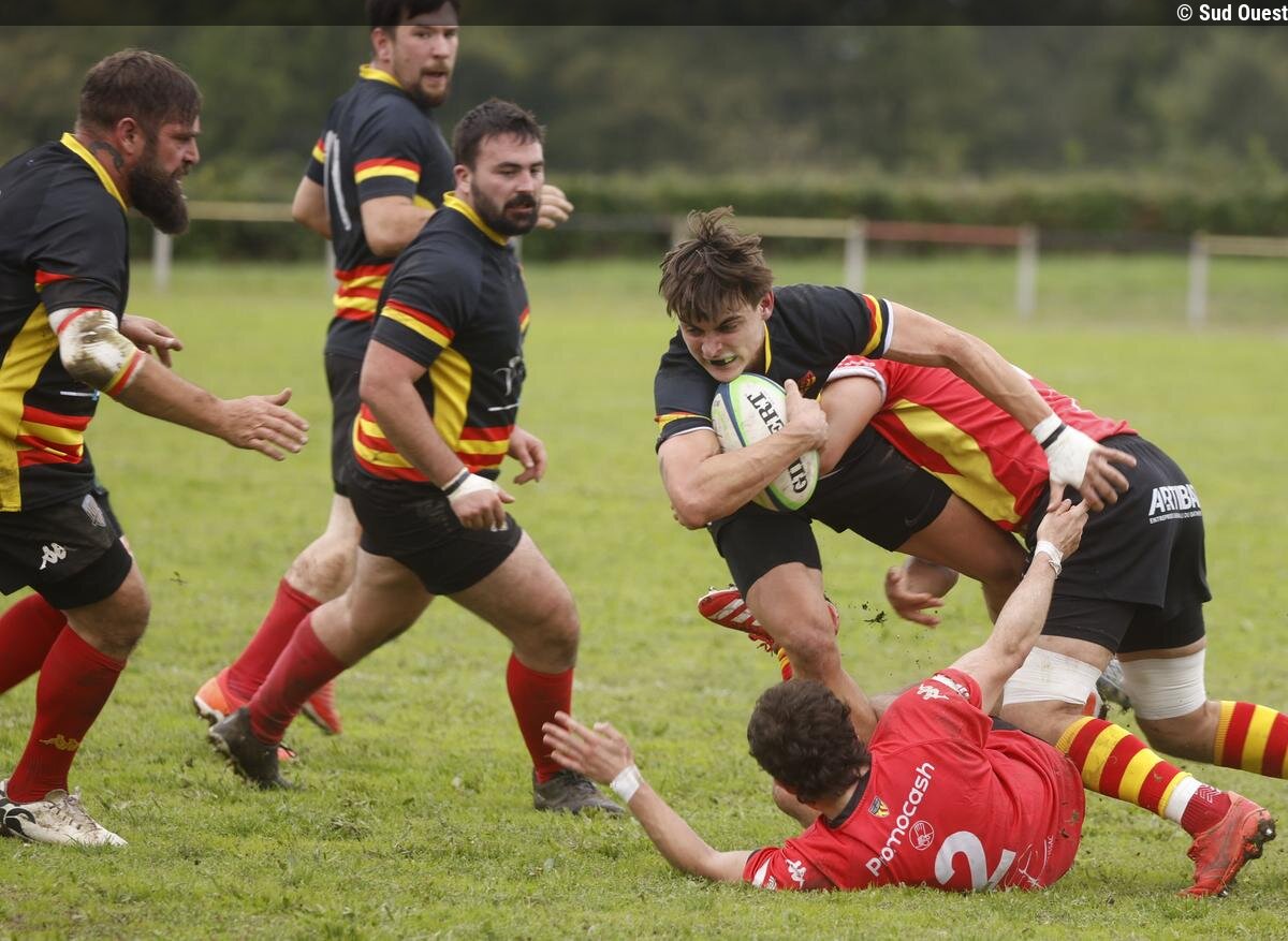 Rugby en Dordogne : le XV Haut Périgord s'accroche