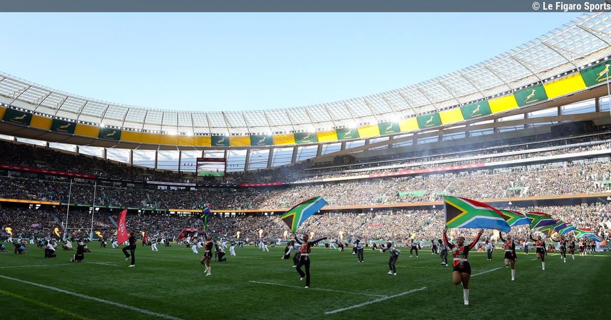 Rugby : en Afrique du Sud, les contrôles antidopage ont été divisés par six en une décennie