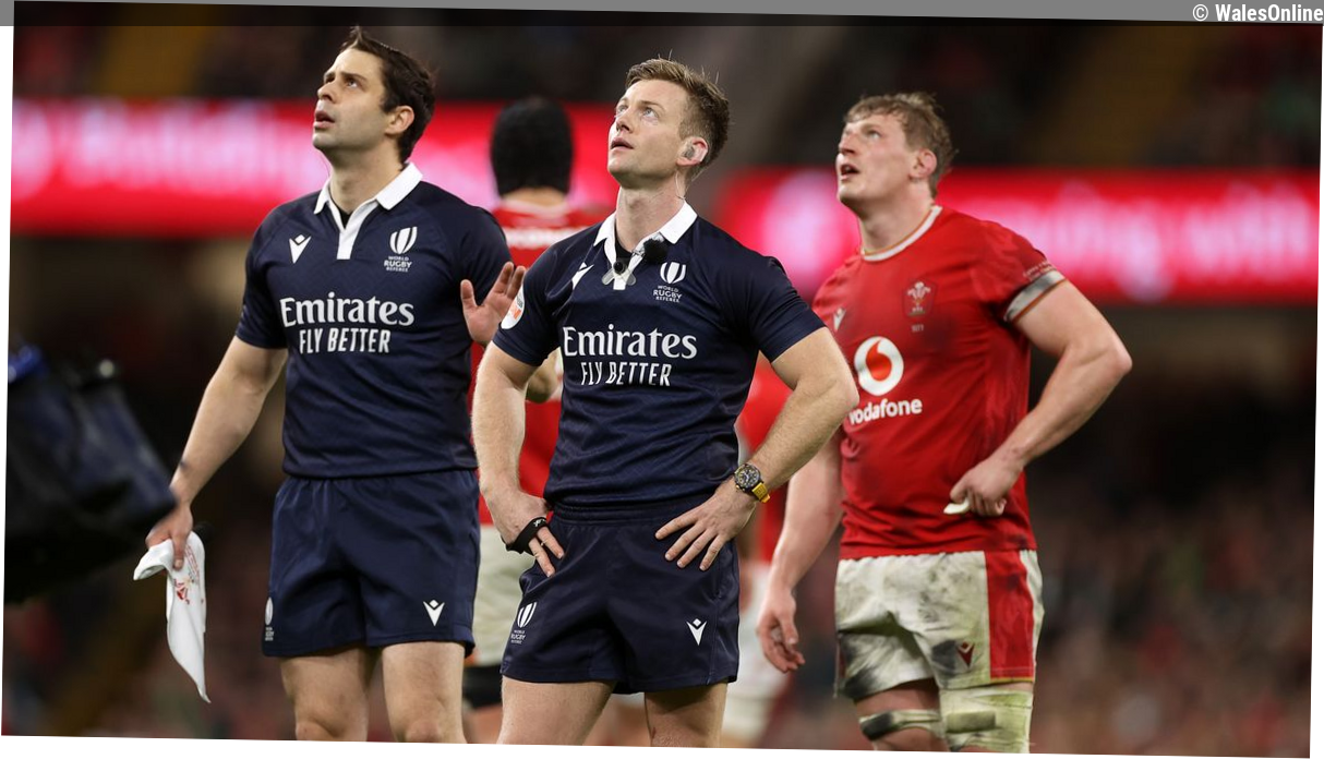 Wales v Italy referee Christophe Ridley called out pundit after World Cup match