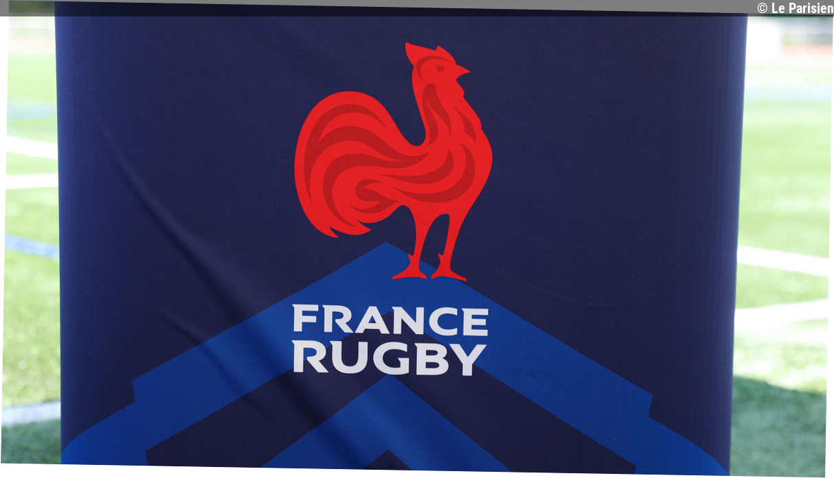 « Cible d'une attaque informatique », la Fédération française de rugby appelle ses licenciés à « la plus grande vigilance »