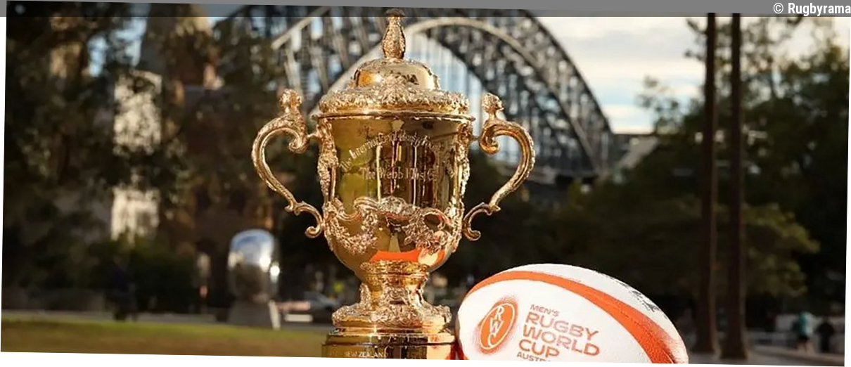 "La Coupe du monde est de très loin la compétition où on vend le plus" : tous les quatre ans, c'est la ruée !