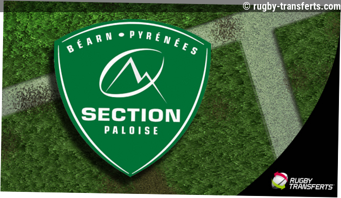 To 14-Section Paloise: Reece Hewat forfait pour le reste de la saison