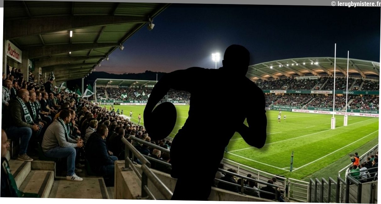 40 rucks offensifs, 7 franchissements : l'immense performance du François Cros de Pau face au Racing