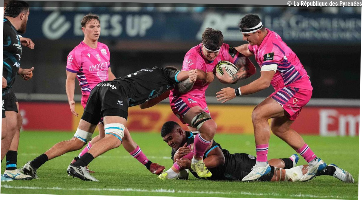 Rugby - Challenge Cup : à Parme, la Section Paloise va rencontrer un drôle de Zebre en 8e de finale