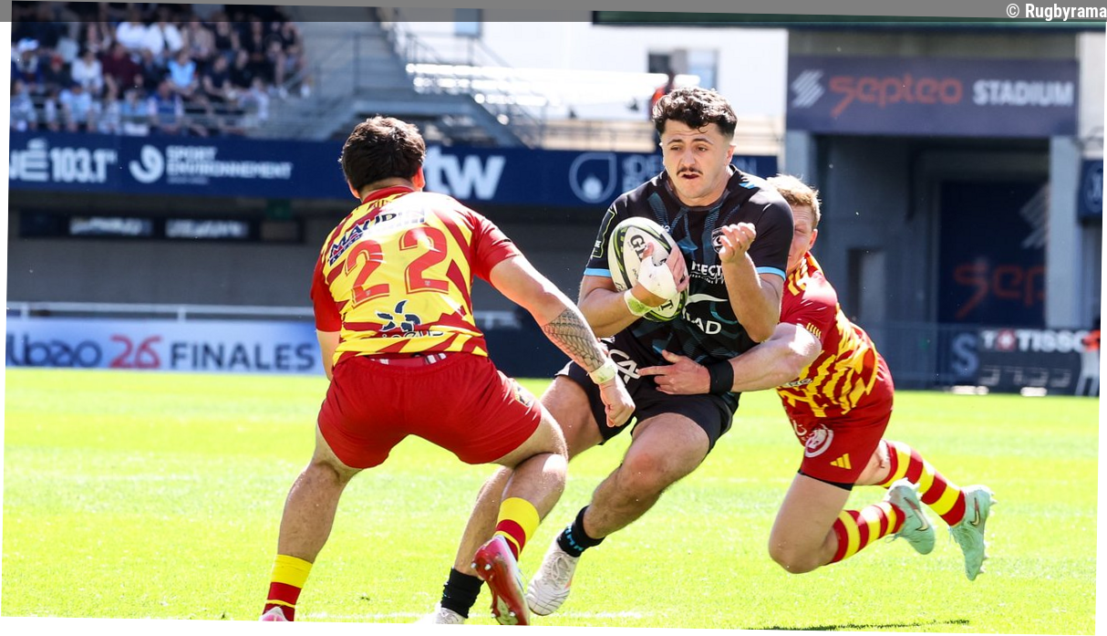 Challenge Cup - Le MHR élimine aisément Perpignan et rejoint le Connacht en quart de finale