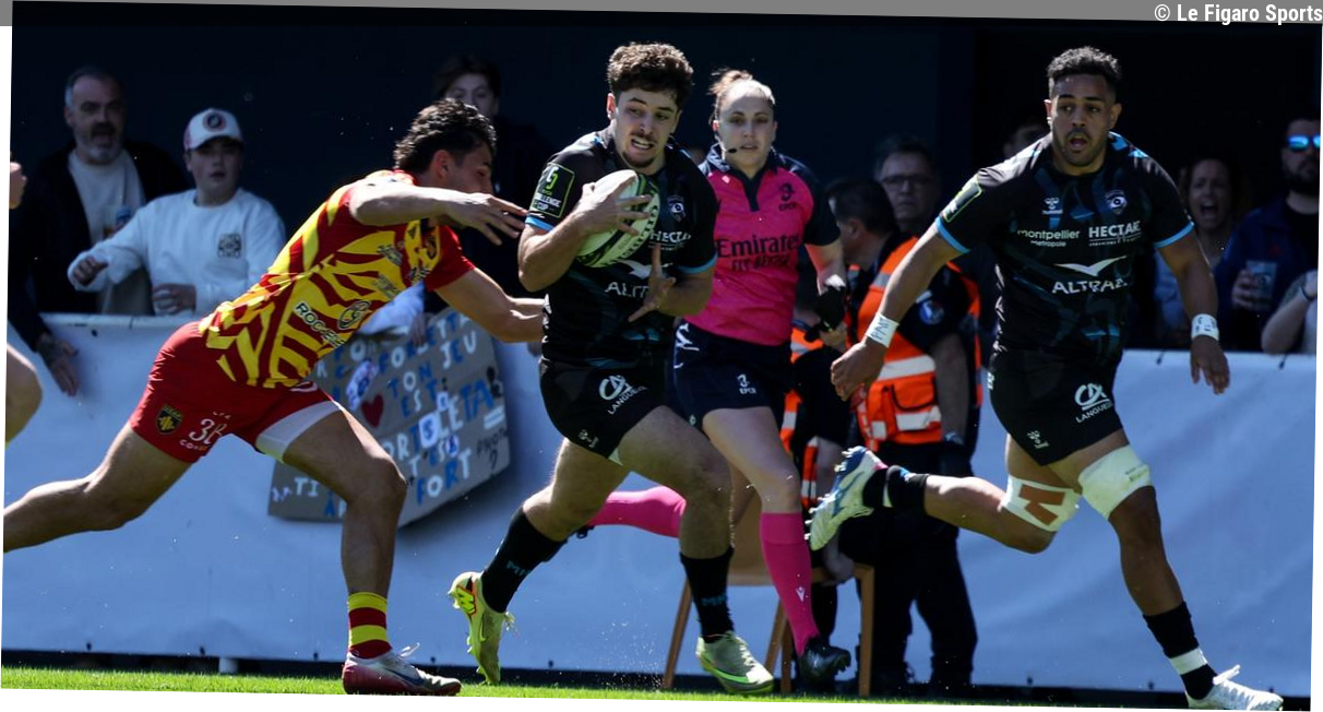 Rugby, Challenge Cup : vainqueur de Perpignan, Montpellier affrontera la Connacht en quarts de finale