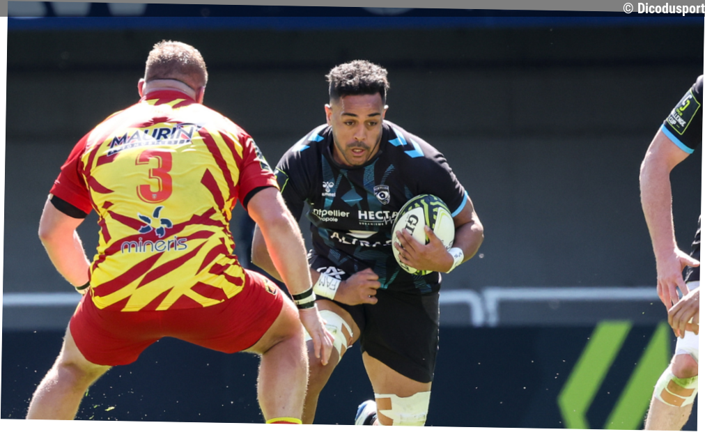 Vainqueur facile de Perpignan, Montpellier rejoint les quarts de finale de la Challenge Cup