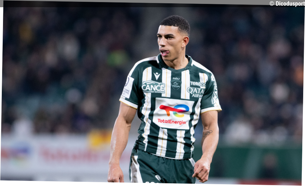 Pau loupe le quart en Challenge Cup après sa défaite sur le pelouse du Zebre Parme
