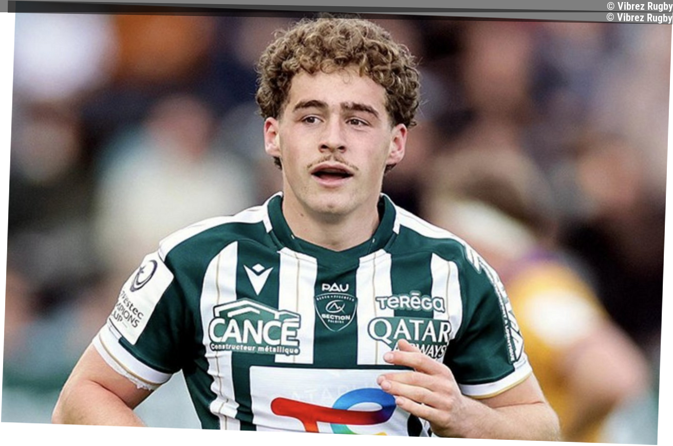 Challenge Cup : Zebre Parma fait déchanter Pau avec un réalisme clinique et froid