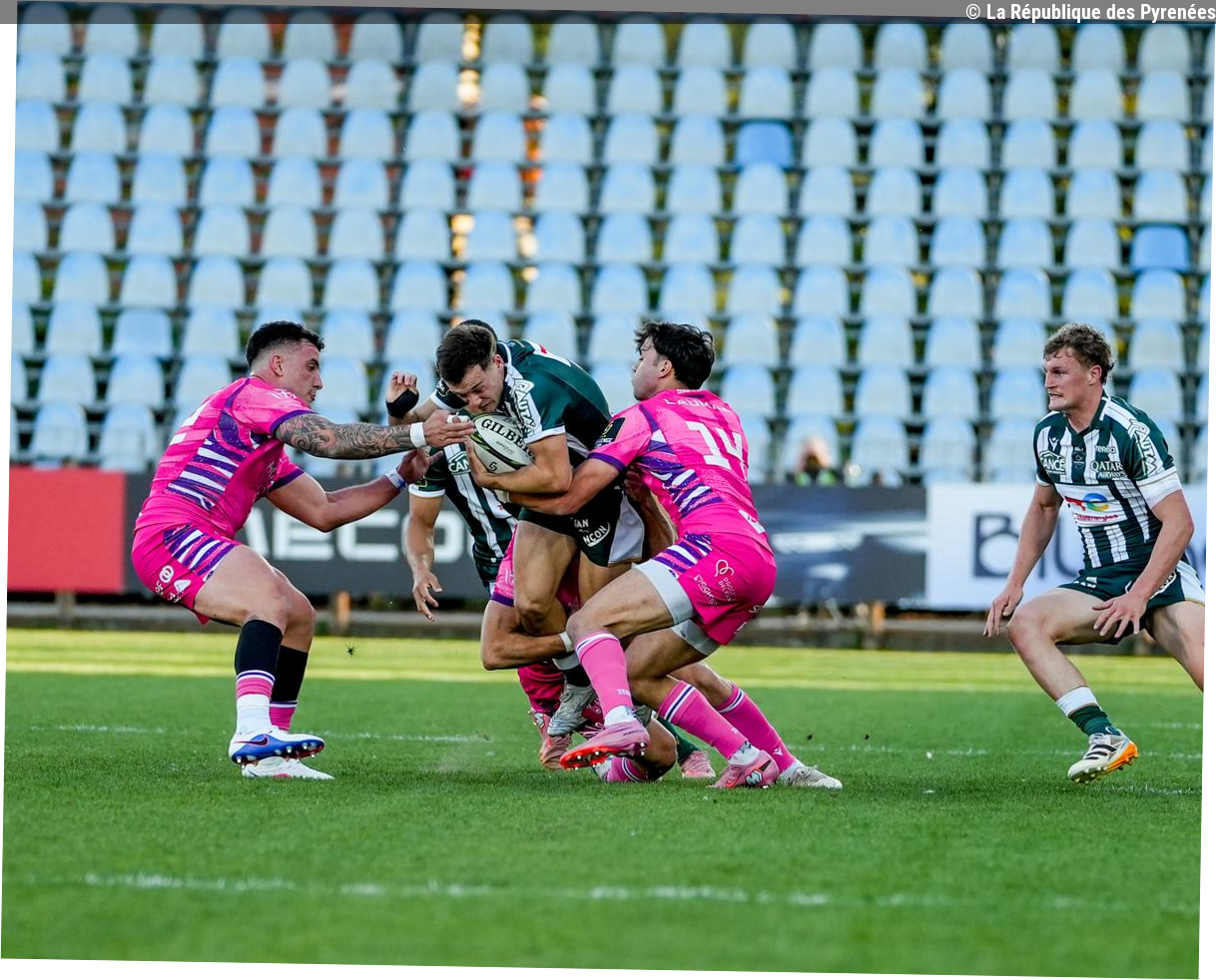 Rugby - Challenge Cup : Zebre - Section Paloise, où quand le Pau de terre a explosé face au Pô de fer