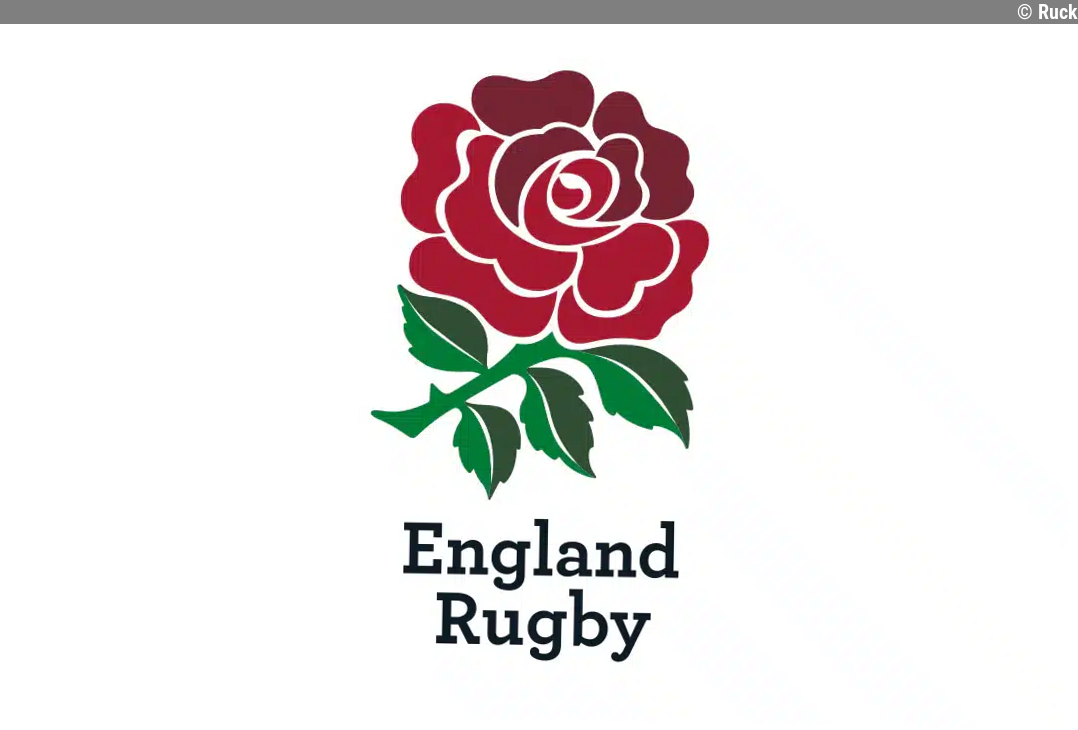 Luke Cowan-Dickie stood down from rugby with immediate effect
