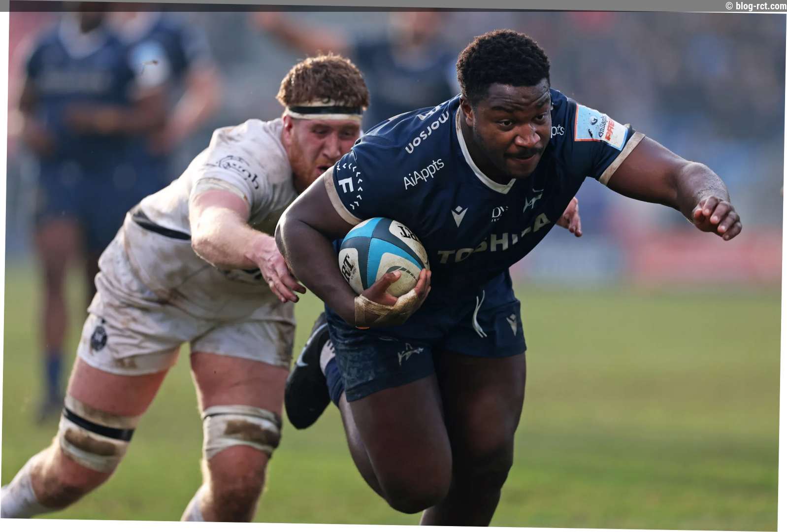 Les Sharks réagissent à la morsure de leur talonneur Nathan Jibulu