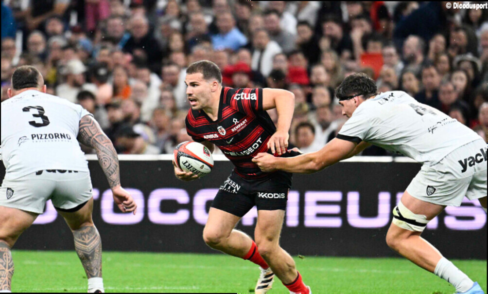 Les notes de Toulon-Toulouse : Dupont flamboyant, Serin transparent