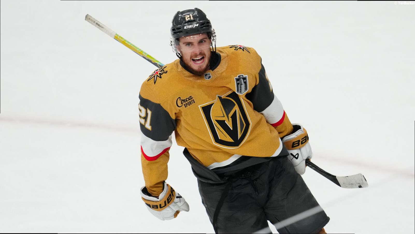The 'Single-playoff goal leaders' quiz