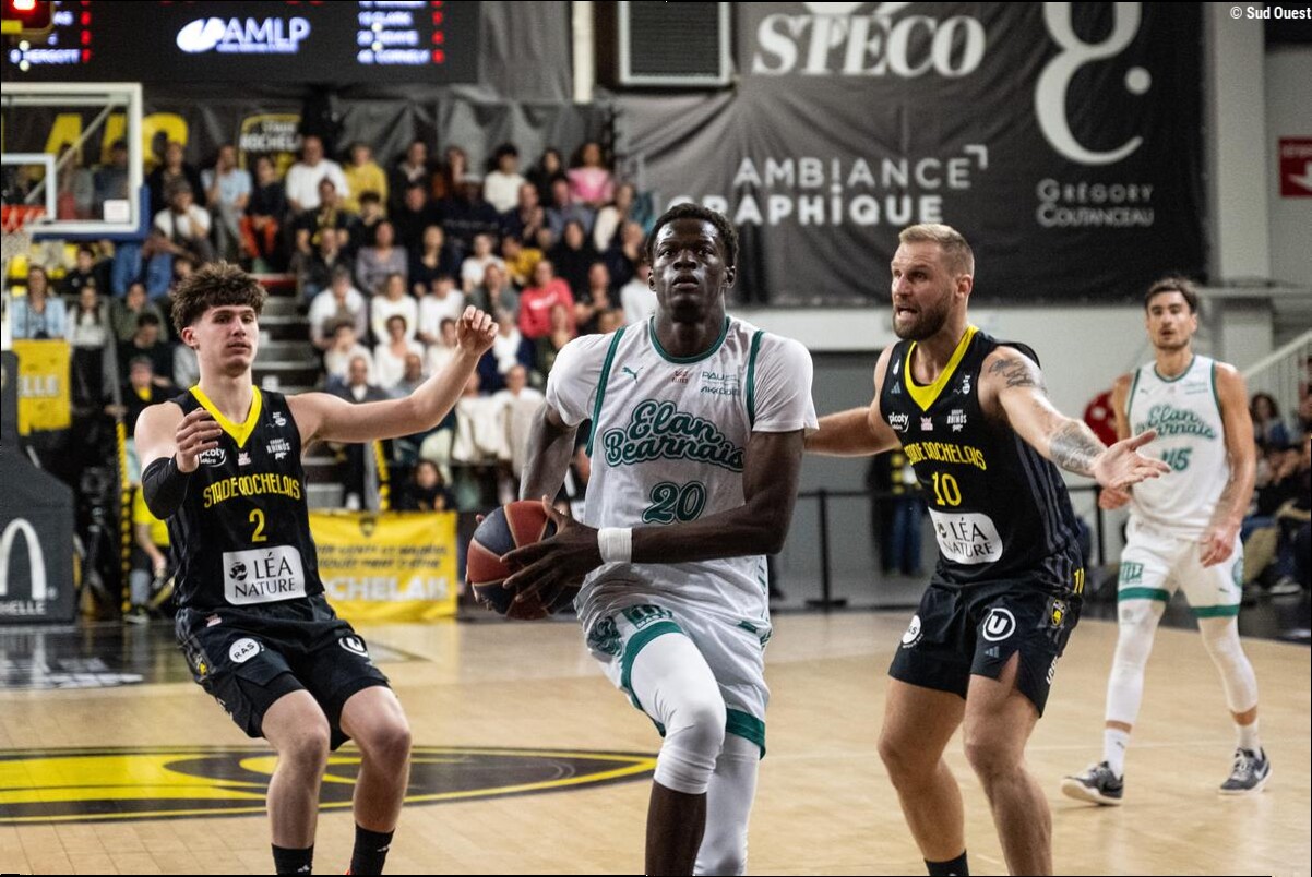 Stade Rochelais Basket : le champion de France palois d'Élite 2 Seydou Ndiaye s'est engagé comme prévu avec le club maritime