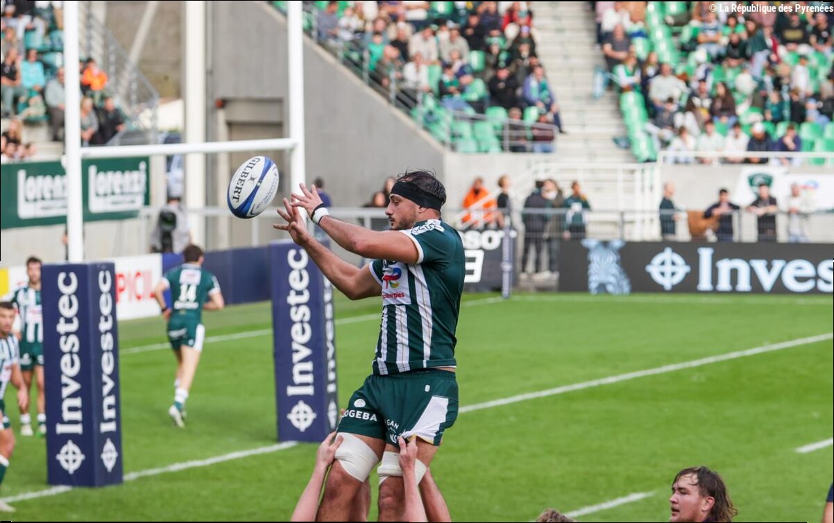 Rugby - Champions Cup : découvrez les adversaires prestigieux de la Section Paloise pour la saison 2026-2027