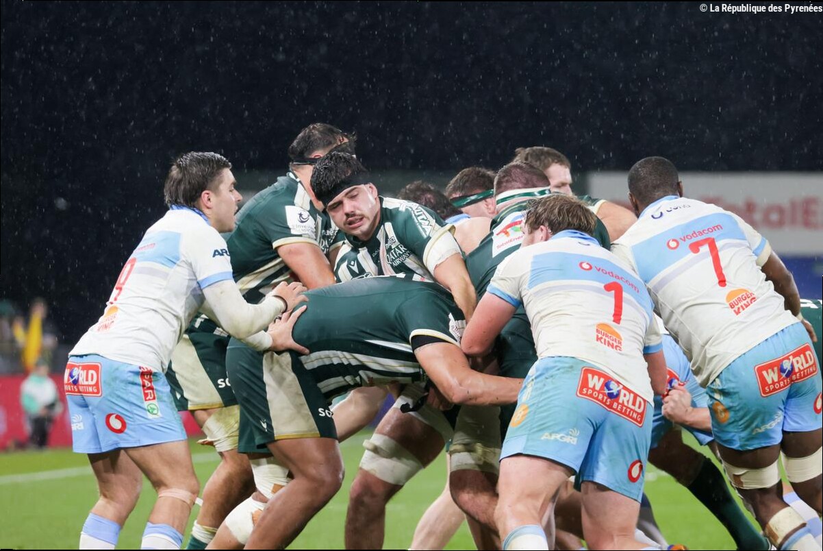 Rugby - Champions Cup : la Section Paloise ira en Écosse et en Irlande, le calendrier des Vert et Blanc