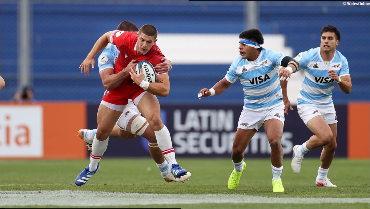 Wales player ratings v Argentina as partnership struggles but props impress