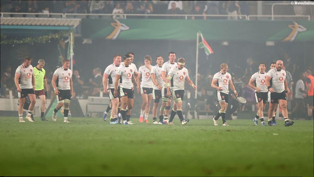 Wales cannot take any positives from Springboks destruction - that's the truth