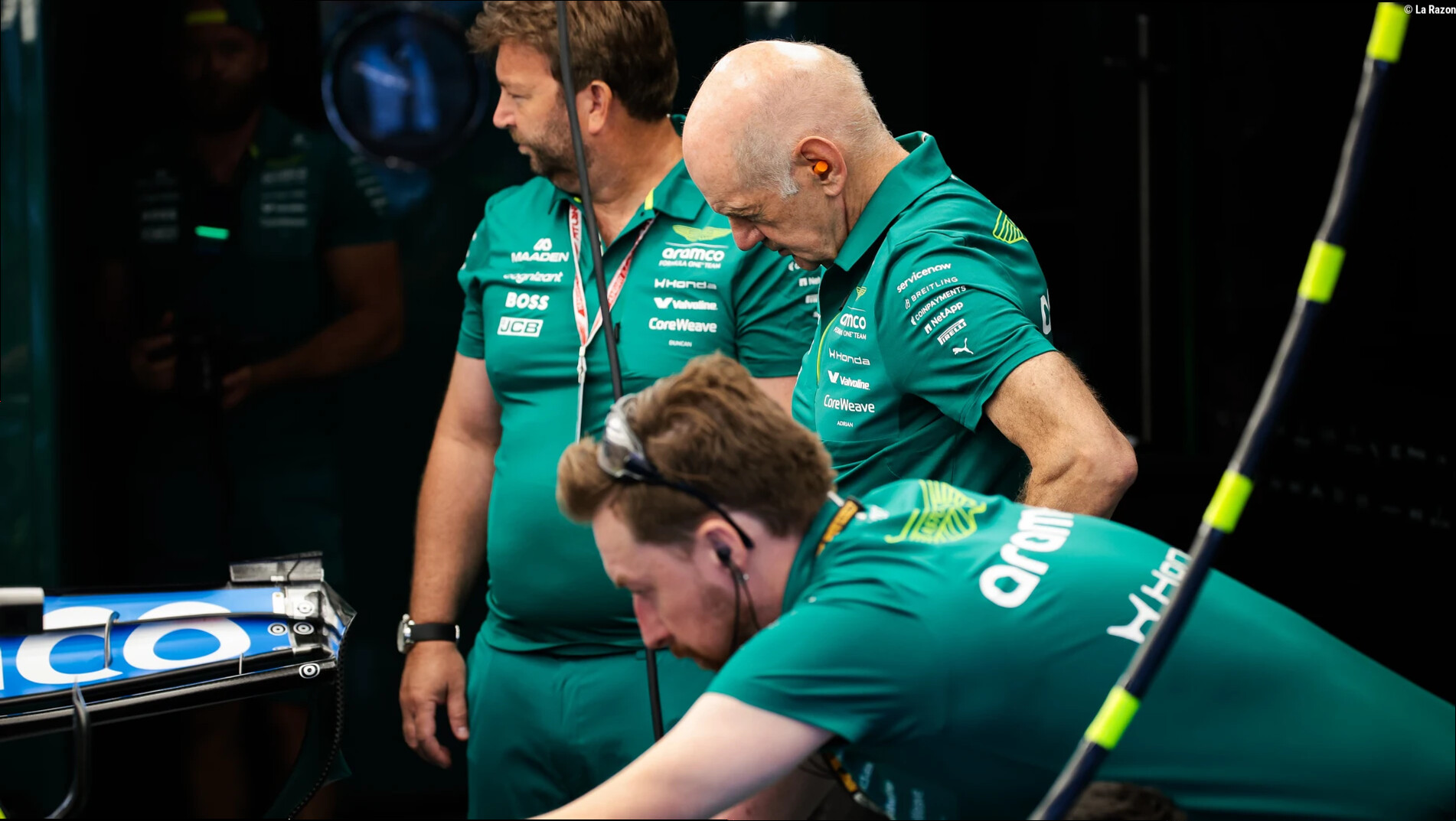 Las 16 razones de Newey para convencer a Fernando Alonso