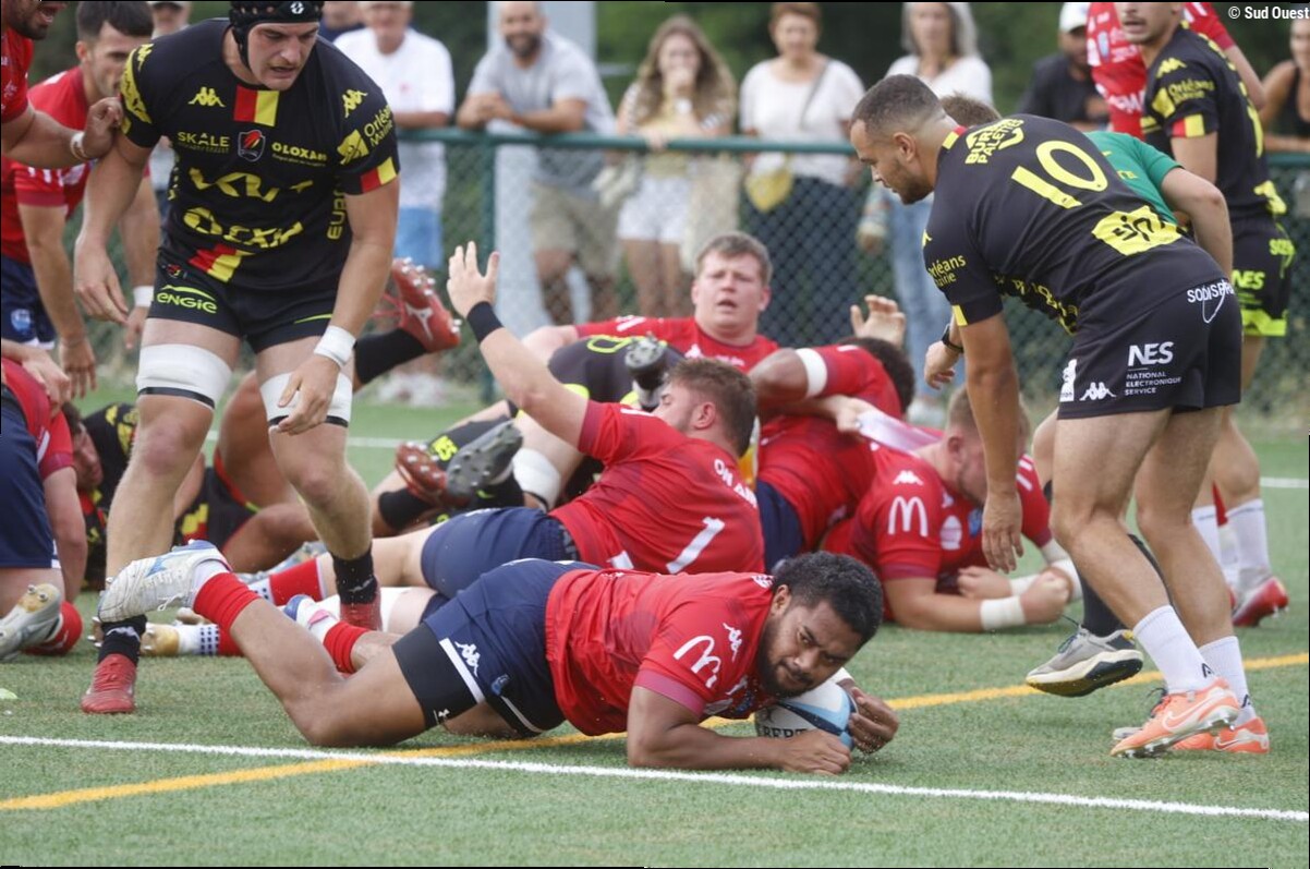 Rugby (Nationale). « On est satisfait » : Périgueux s'impose face à Orléans pour sa première rencontre de préparation