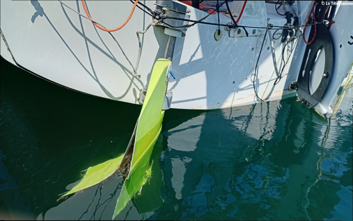 « Je ne parle pas orque » : à cause des attaques d'orques, la direction de course de la Mini Atlantique modifie le parcours d