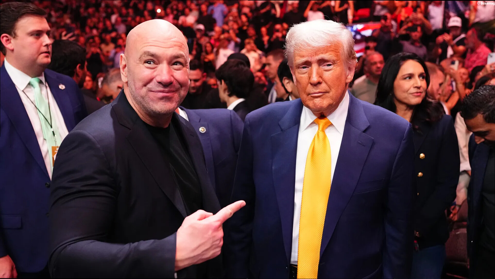 https://cdn.mashup-web.com/img/news/6a71d119c4a8db3c4c0e1dd6.JPEG