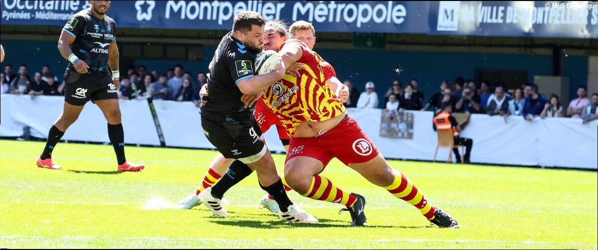 Top 14 - Perpignan : composition probable, forces, faiblesses... La revue complète de l'effectif catalan ligne par ligne