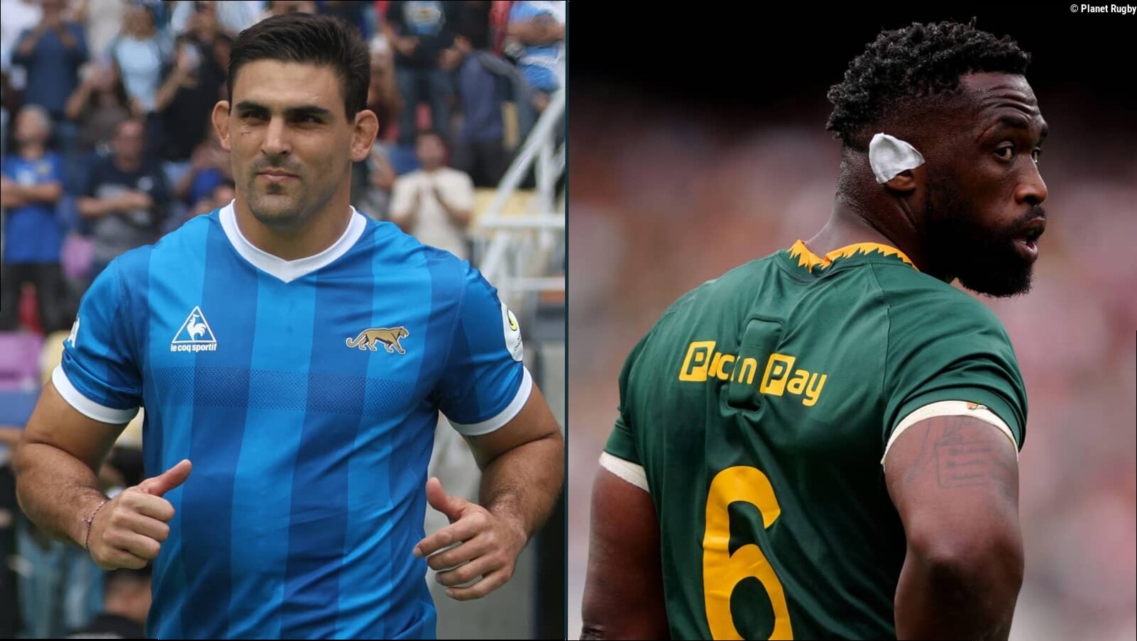 Argentina v Springboks prediction: Los Pumas to run Rassie's men 'closer' than expected before the Bomb Squad blows inexperie