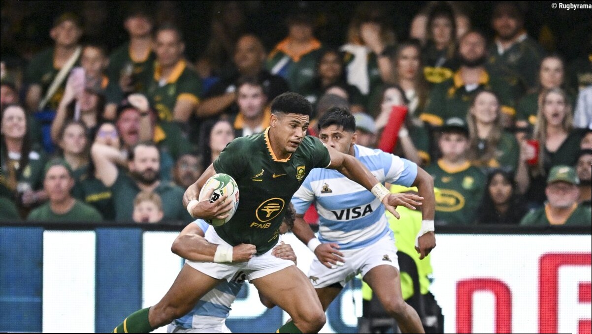 Direct. International - Argentine - Afrique du Sud : les Pumas peuvent-ils créer l'exploit ? Suivez la rencontre !