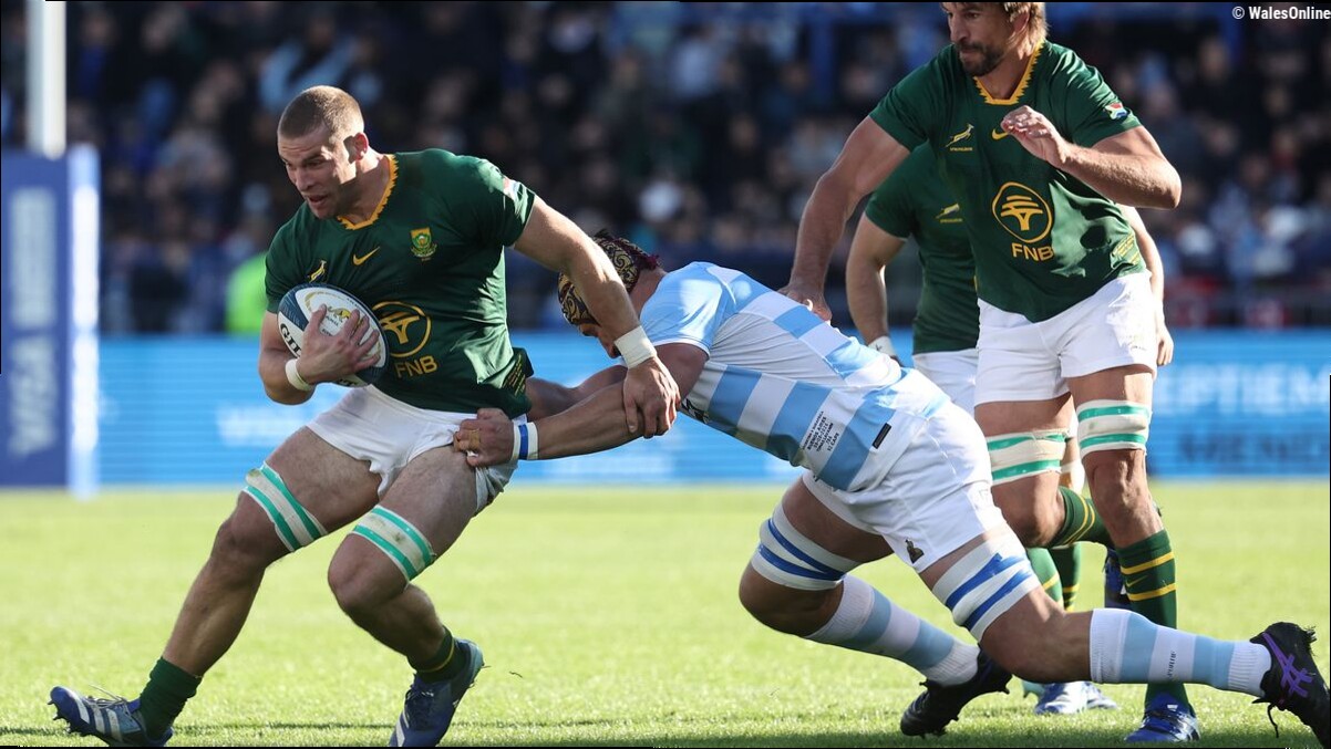 Welsh-qualified Springboks star makes headlines after turning down Wales