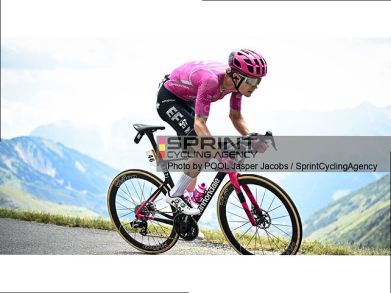 RED BULL BORA. UFFICIALE L'INGAGGIO DI STEINHAUSER