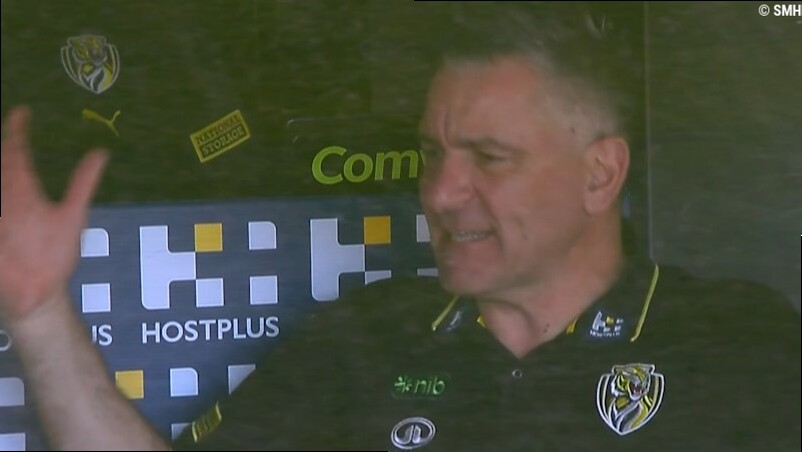 Yze fuming in box during Tigers' defeat
