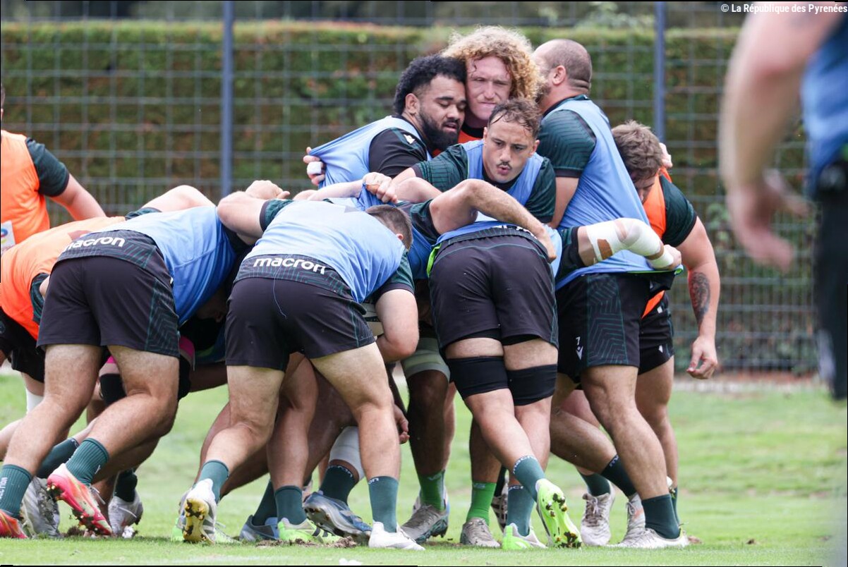 Rugby - Top 14 : à deux semaines de la reprise, la Section Paloise se jauge face au promu vannetais
