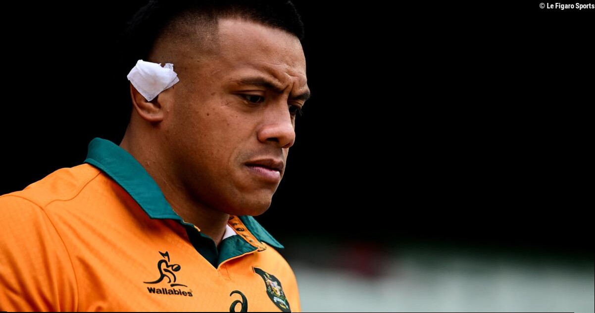 Rugby : les Wallabies australiens avec un pack totalement remanié pour défier les Pumas argentins