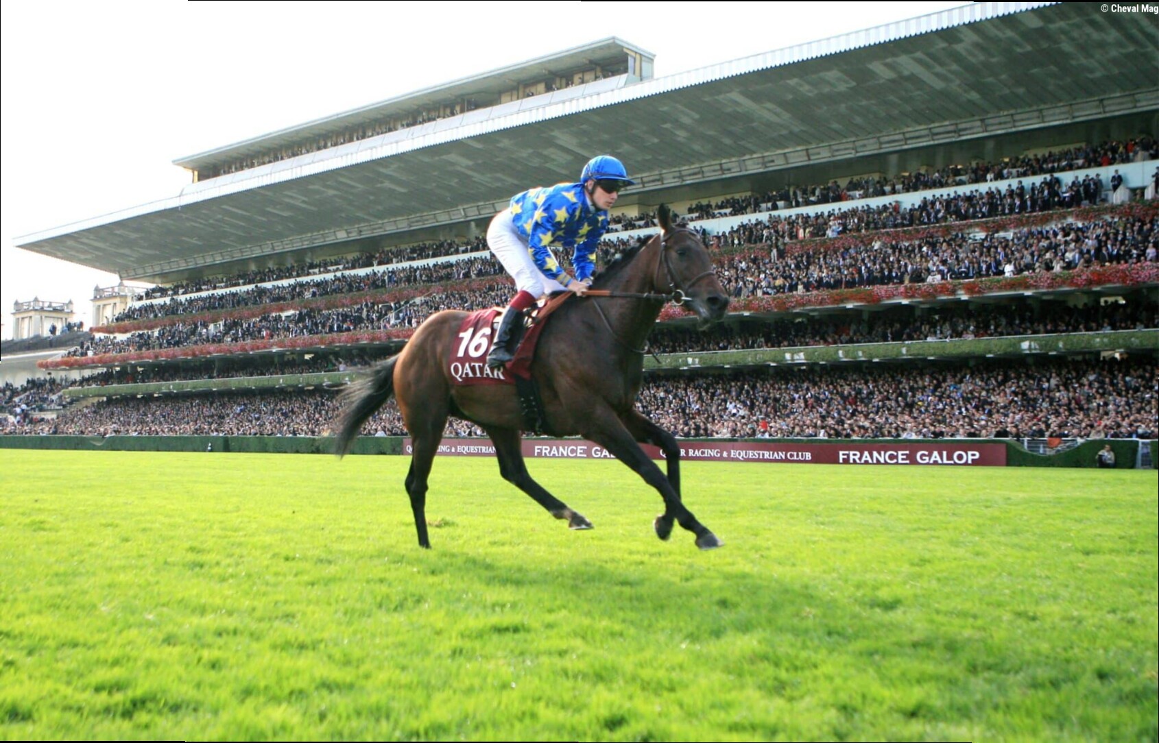 Combien ça coûte d'avoir un cheval au départ du Qatar Prix de l'Arc de Triomphe ?