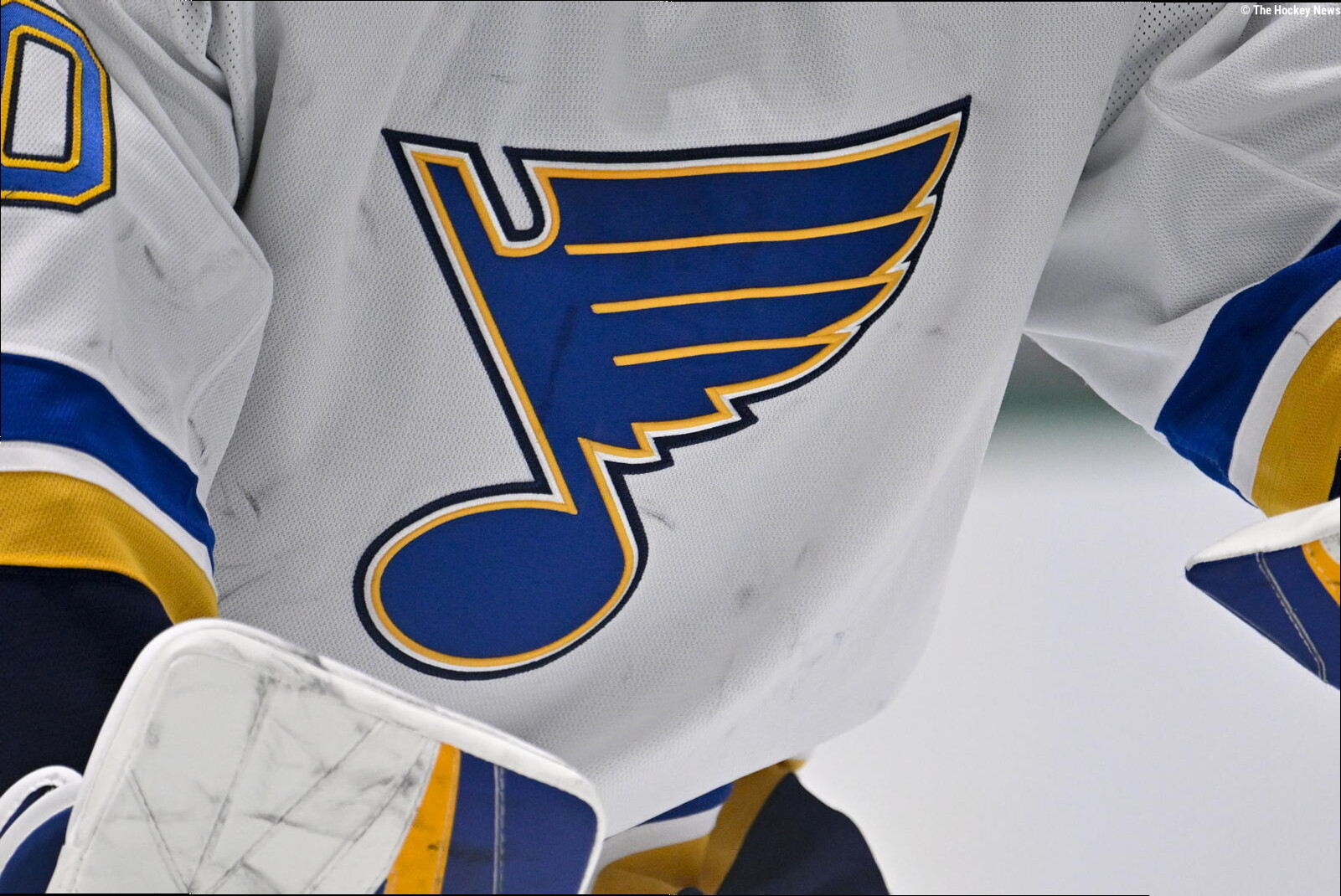 'Zero Chance Of Recovery,' St. Louis Blues Prospect Matthew Mayich Given Alarming Health Update