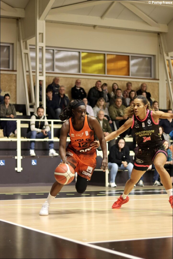 NF1 : Le Havre dévoile ses 2 dernières recrues, Estaires voit 8 joueuses prolonger
