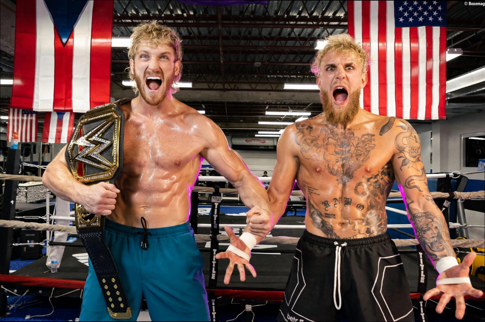 Jake et Logan Paul vont diriger une nouvelle émission de téléréalité axée sur la compétition de combat pour Hulu et ESPN