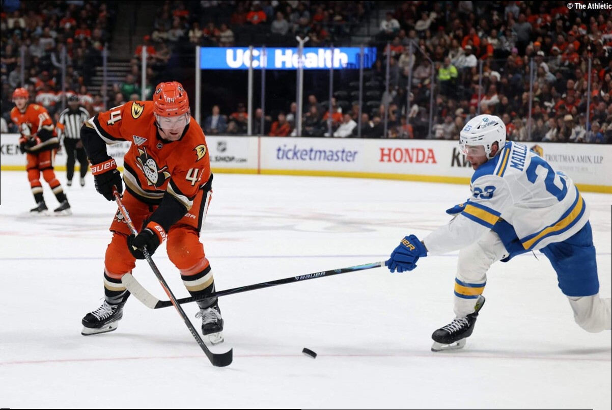 With Blues training camp starting soon, new players are finding their place