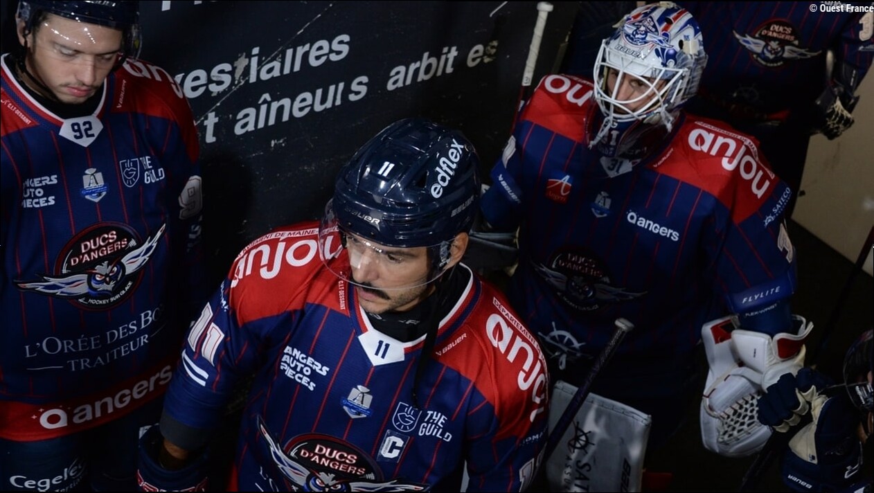 Hockey sur glace. Une nouvelle version des Ducs d'Angers s'attaque à la Ligue Magnus