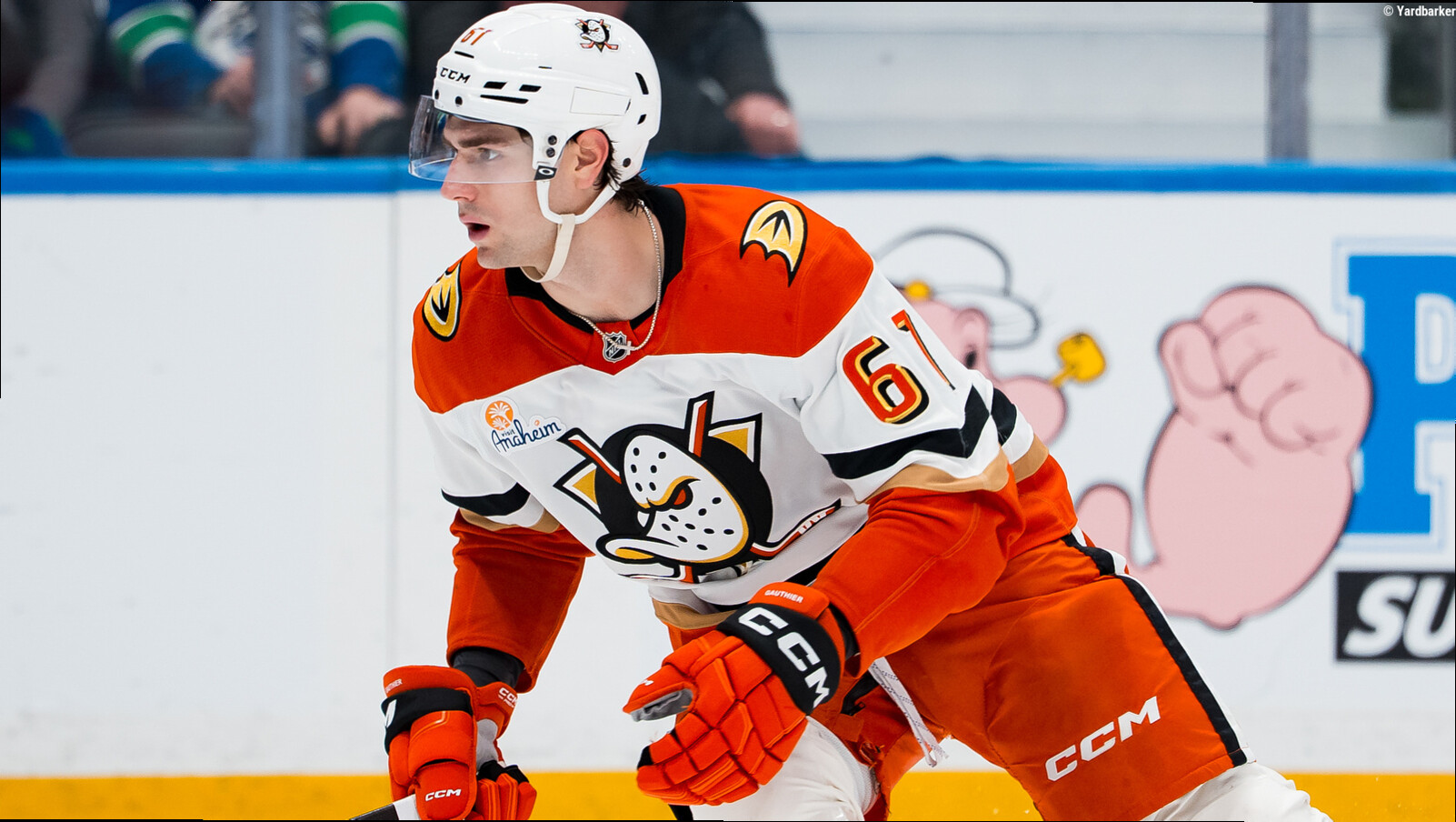 Ducks re-sign Cutter Gauthier to massive six-year deal