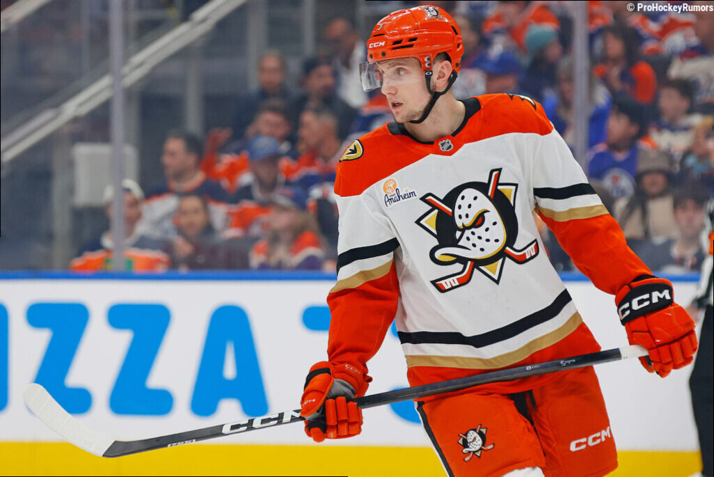 Anaheim Ducks Injury Updates