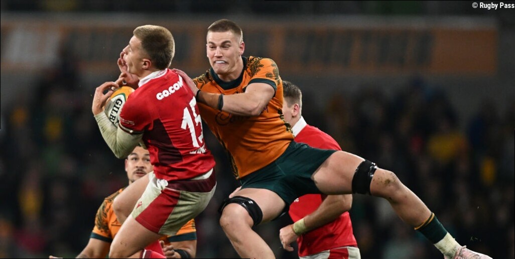 Wallabies dealt injury blow as backrower ruled out of Springboks clash