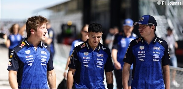 "Het verschil tussen Max Verstappen en zijn teamgenoten blijft opmerkelijk"