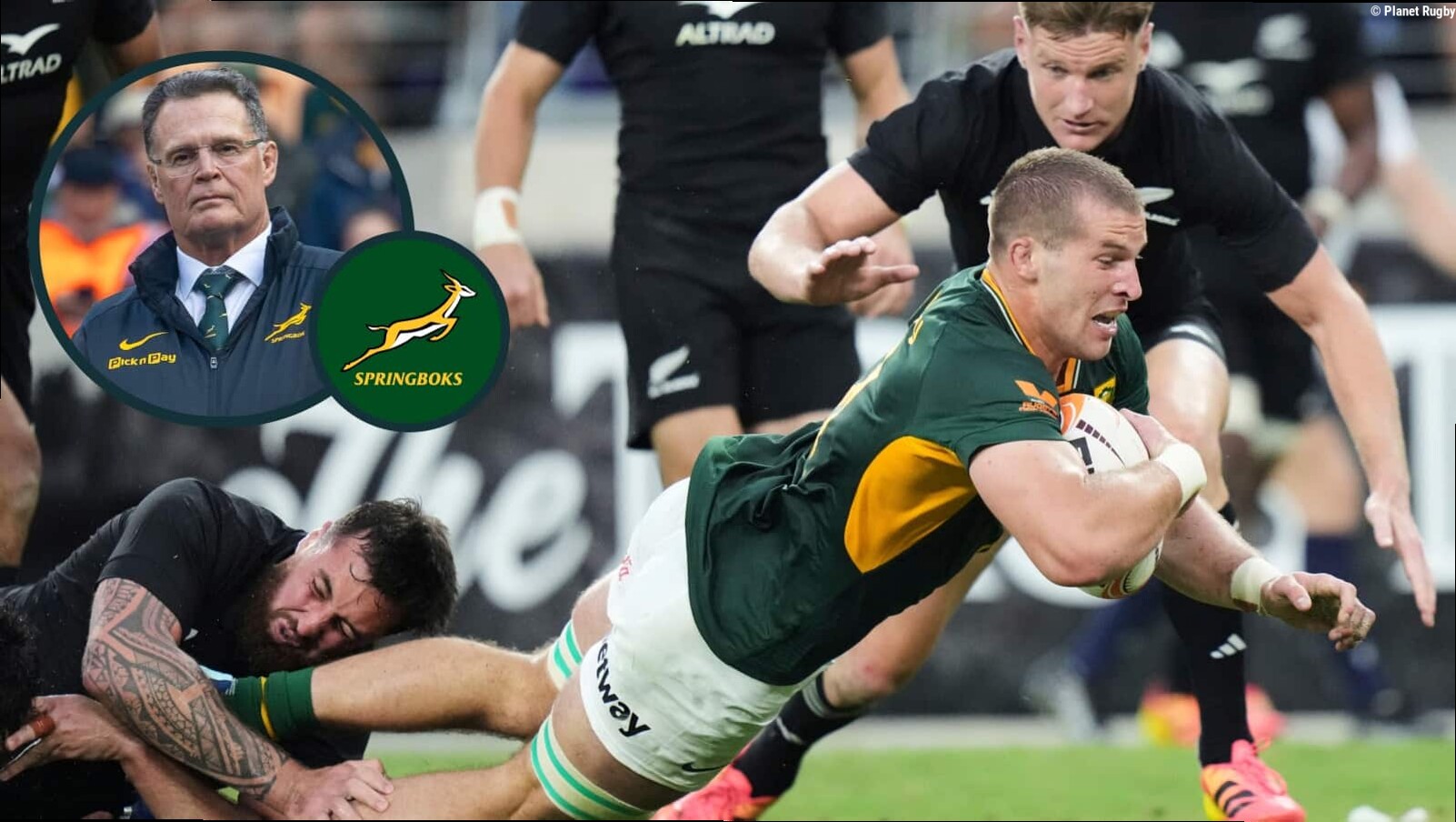 Rassie Erasmus addresses Cameron Hanekom's absence as Springboks have 'security if it doesn't go well'