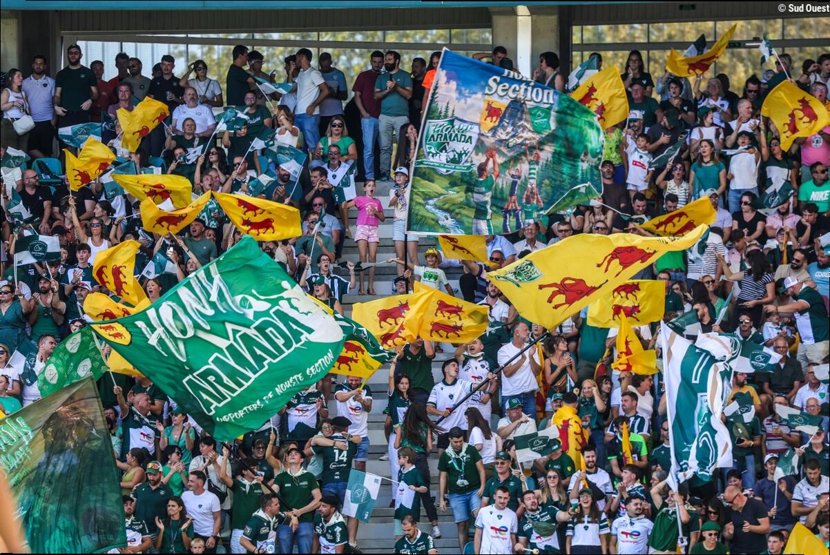 TOP 14. Au Hameau, la Honh'Armada épouse la croissance de la Section Paloise