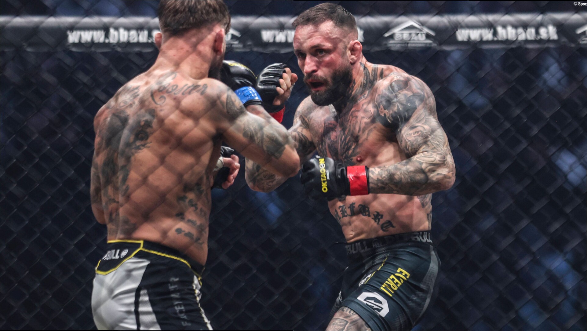 Was ist der Unterschied zwischen UFC / MMA und Boxen?